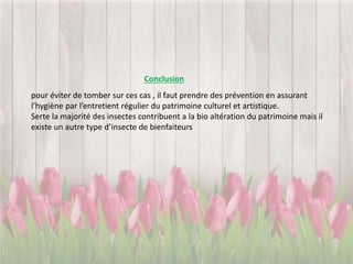 Conclusion
pour éviter de tomber sur ces cas , il faut prendre des prévention en assurant
l’hygiène par l’entretient régulier du patrimoine culturel et artistique.
Serte la majorité des insectes contribuent a la bio altération du patrimoine mais il
existe un autre type d’insecte de bienfaiteurs
 