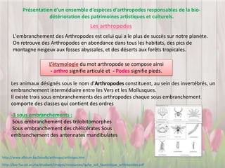 Les arthropodes
Présentation d’un ensemble d’espèces d’arthropodes responsables de la bio-
détérioration des patrimoines artistiques et culturels.
L'embranchement des Arthropodes est celui qui a le plus de succès sur notre planète.
On retrouve des Arthropodes en abondance dans tous les habitats, des pics de
montagne neigeux aux fosses abyssales, et des déserts aux forêts tropicales.
L’étymologie du mot arthropode se compose ainsi
- arthro signifie articulé et - Podes signifie pieds.
Les animaux désignés sous le nom d'Arthropodes constituent, au sein des invertébrés, un
embranchement intermédiaire entre les Vers et les Mollusques.
Il existe trois sous embranchements des arthropodes chaque sous embranchement
comporte des classes qui contient des ordres
-3 sous embranchements :
Sous embranchement des trilobitomorphes
Sous embranchement des chélicérates Sous
embranchement des antennates mandibulates
http://bio-fsa.uiz.ac.ma/etudiant/images/ressources/tp/tp_sv4_faunistique_arthropodes.pdf
http://www.afblum.be/bioafb/arthropo/arthropo.htm
 