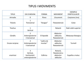 TIPUS I MOVIMENTS
TIPUS EIX O MOVIM. FORMA MOVIMENT
EXEMPLE
D’ARTICULACIÓ
Artrodia 0 Plana Lliscament Carpianes (ma)
Tròcela
1
Transversal “bisagra” Flexoextensió Colze
Trochus 1
Vertical
Rotació Radi-cúbit superior
Còndils
2
Anteroposterior
i transversal
El·lipsoide
Abductor-
adductor,
flexoextensió
Metacarp-falangica
Encaix reciproc
2
Anteroposterior
i transversal
“cadira de
muntar”
Abductor-
adductor,
flexoextensió
Turmell
enartrosi
3
Vertical,
horitzontal i
anteroposterior
Esfèrica
Rotació,
flexotensió o
abductor-
adductor
Espatlla o maluc
 