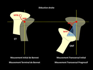 Diduction les articulateurs et les arcs faciaux | PPTX