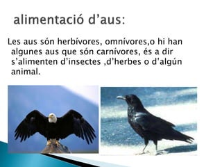 Les aus són herbívores, omnívores,o hi han
algunes aus que són carnívores, és a dir
s’alimenten d’insectes ,d’herbes o d’algún
animal.
 