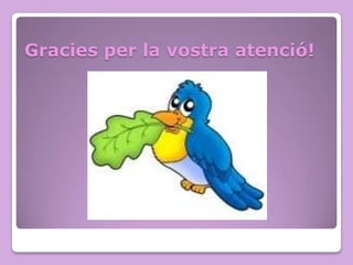 Gracies per la vostra atenció!

 