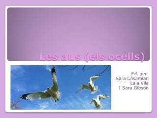 Les aus (els ocells)
Fet per:
Sara Casamian
Laia Vila
I Sara Gibson

 