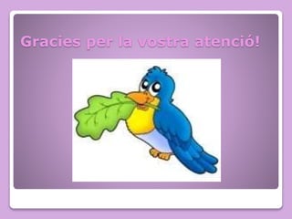 Gracies per la vostra atenció!
 