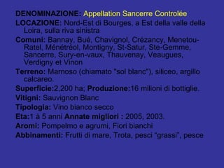 DENOMINAZIONE:  Appellation Sancerre Controlée LOCAZIONE:  Nord-Est di Bourges, a Est della valle della Loira, sulla riva sinistra Comuni:  Bannay, Bué, Chavignol, Crézancy, Menetou-Ratel, Ménétréol, Montigny, St-Satur, Ste-Gemme, Sancerre, Sury-en-vaux, Thauvenay, Veaugues, Verdigny et Vinon Terreno:  Marnoso (chiamato "sol blanc"), siliceo, argillo calcareo. Superficie: 2,200 ha;  Produzione: 16 milioni di bottiglie. Vitigni:  Sauvignon Blanc Tipologia:  Vino bianco secco Eta: 1 à 5 anni  Annate migliori :  2005, 2003. Aromi:  Pompelmo e agrumi, Fiori bianchi Abbinamenti:  Frutti di mare, Trota, pesci “grassi”, pesce 