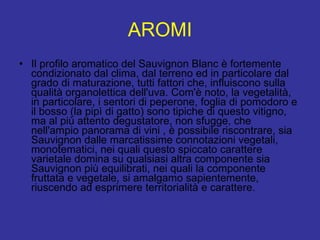 AROMI Il profilo aromatico del Sauvignon Blanc è fortemente condizionato dal clima, dal terreno ed in particolare dal grado di maturazione, tutti fattori che, influiscono sulla qualità organolettica dell'uva. Com'è noto, la vegetalità, in particolare, i sentori di peperone, foglia di pomodoro e il bosso (la pipì di gatto) sono tipiche di questo vitigno, ma al più attento degustatore, non sfugge, che nell'ampio panorama di vini , è possibile riscontrare, sia Sauvignon dalle marcatissime connotazioni vegetali, monotematici, nei quali questo spiccato carattere varietale domina su qualsiasi altra componente sia Sauvignon più equilibrati, nei quali la componente fruttata e vegetale, si amalgamo sapientemente, riuscendo ad esprimere territorialità e carattere.  