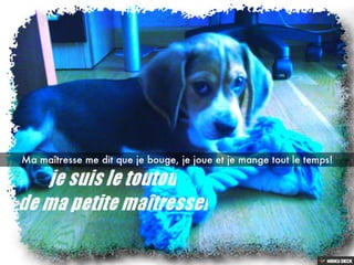 Les aventures de BOND