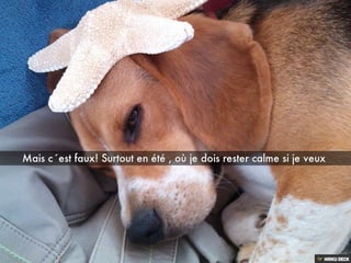 Les aventures de BOND