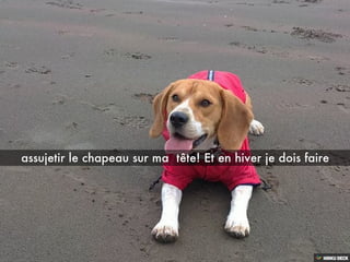 Les aventures de BOND