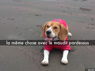 Les aventures de BOND