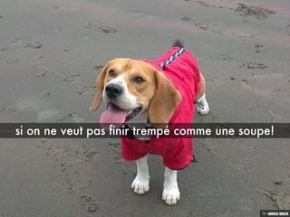 Les aventures de BOND