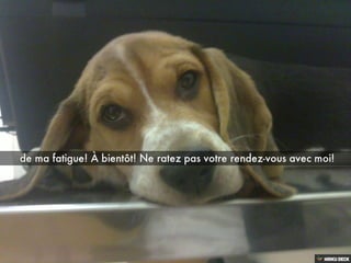 Les aventures de BOND