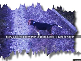 Les aventures de BOND