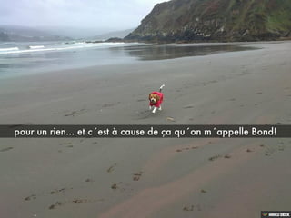 Les aventures de BOND