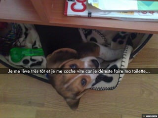 Les aventures de BOND