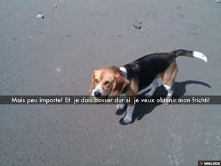 Les aventures de BOND