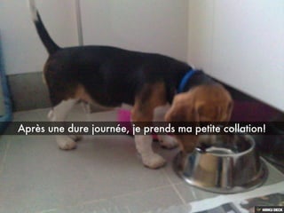 Les aventures de BOND