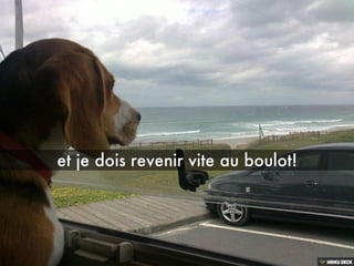 Les aventures de BOND