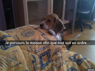 Les aventures de BOND