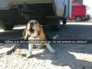 Les aventures de BOND