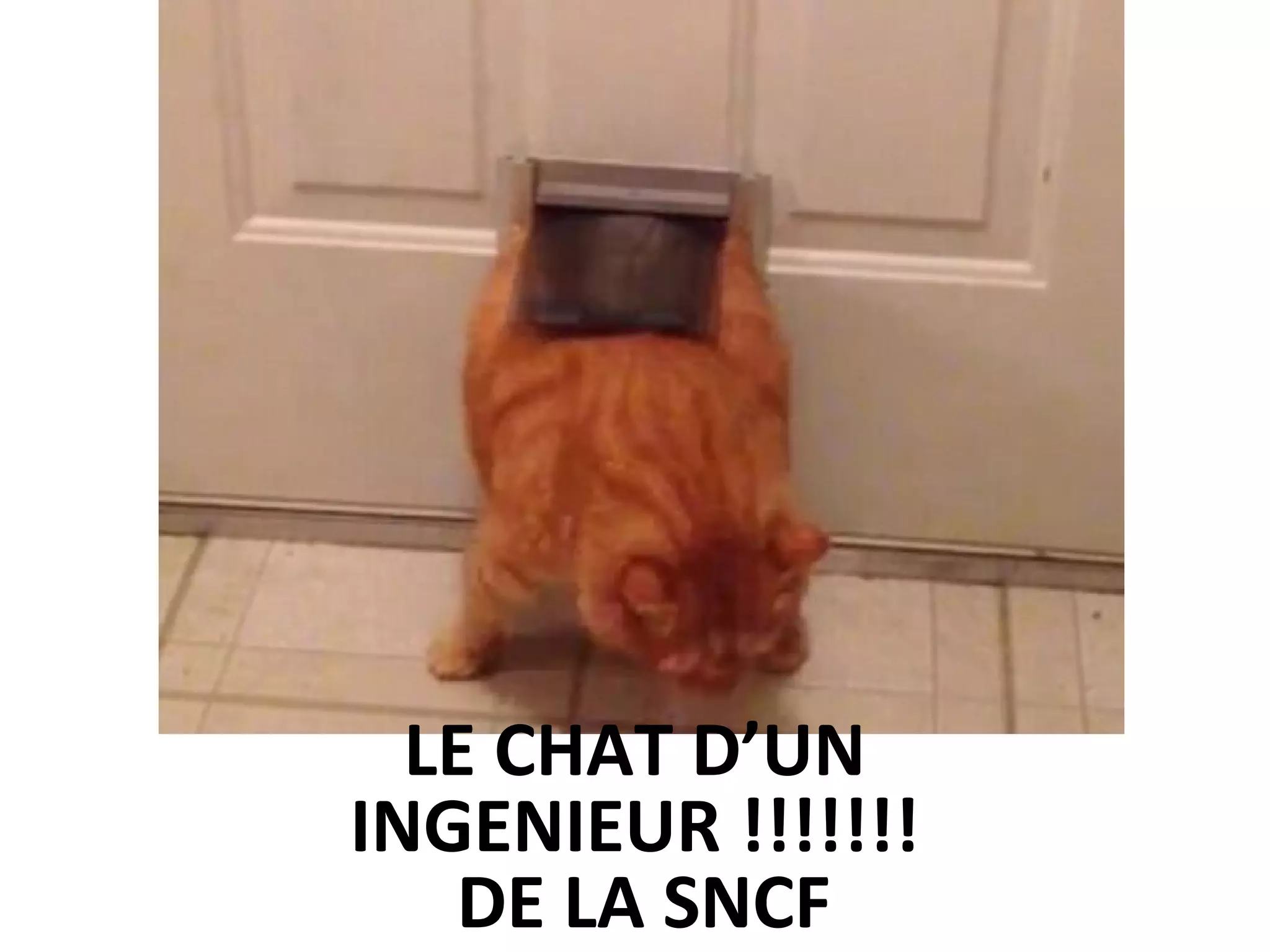 LE CHAT D’UN
INGENIEUR !!!!!!!
DE LA SNCF