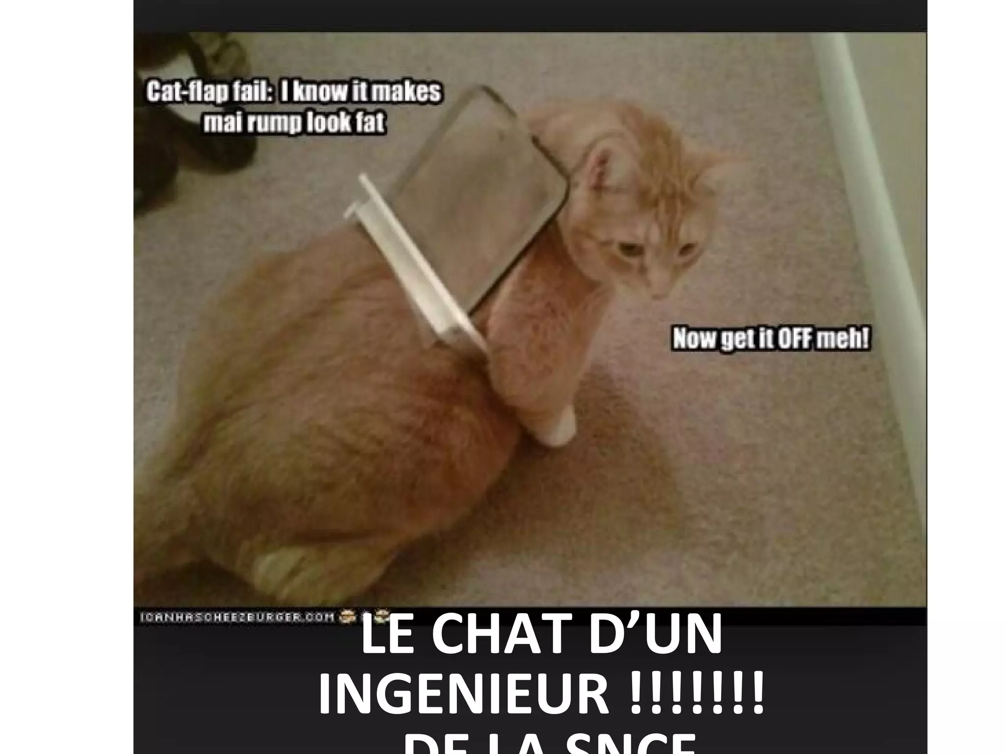 LE CHAT D’UN
INGENIEUR !!!!!!!