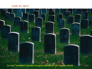 Le mot "cimetière" provient du grec koimetirion qui signifie dortoir   