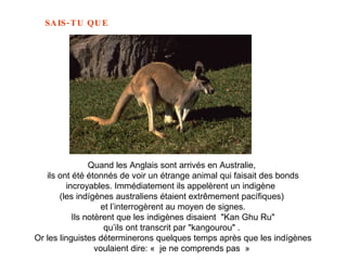 Quand les Anglais sont arrivés en Australie,  ils ont été étonnés de voir un étrange animal qui faisait des bonds incroyables. Immédiatement ils appelèrent un indigène  (les indígènes australiens étaient extrêmement pacífiques)  et l’interrogèrent au moyen de signes. Ils notèrent que les indigènes disaient  "Kan Ghu Ru"  qu’ils ont transcrit par "kangourou" .  Or les linguistes déterminerons quelques temps après que les indígènes voulaient dire: «  je ne comprends pas  »   