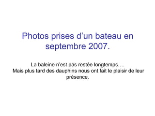 Photos prises d’un bateau en
         septembre 2007.

        La baleine n’est pas restée longtemps….
Mais plus tard des dauphins nous ont fait le plaisir de leur
                        présence.
 