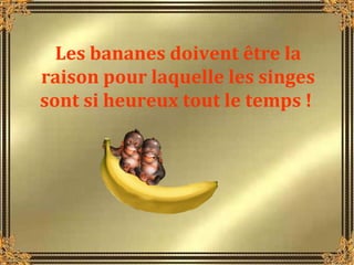 Les bananes doivent être la
raison pour laquelle les singes
sont si heureux tout le temps !

 