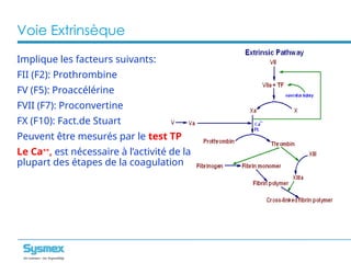 les bases de coagulation en hématologie.pptx
