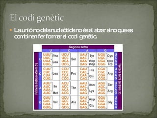 La unió no dels nucleòtids no és al atzar sino que es combinen fer formar el codi genètic. 