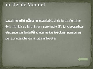 La primera llei s’anomena també  Llei de la uniformitat dels híbrids de la primera generació (F1) , i diu que tots els descendents de l’encreuament entre dues races pures per a un caràcter són iguals entre ells. 