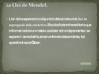Llei de la separació o disjunció dels al.lels o bé,  llei de segregació dels caràcters .Els dos factors hereditaris que informen sobre un mateix caràcter són independents i se separen i se redistribueixen entre els descendents, tot aparellant-se a l’atzar. 