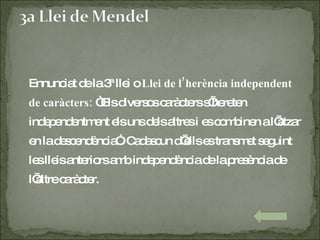 Ennunciat de la 3ª llei o  Llei de l’herència independent de caràcters:  “Els diversos caràcters s’hereten independentment els uns dels altres i es combinen a l’atzar en la descendència”. Cadascun d’ells es transmet seguint les lleis anteriors amb independència de la presència de l’altre caràcter. 