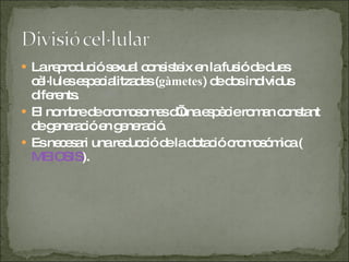 La reprodució sexual consisteix en la fusió de dues cèl·lules especialitzades ( gàmetes ) de dos individus diferents. El nombre de cromosomes d’una espècie roman constant de generació en generació. Es necesari una reducció de la dotació cromosómica ( MEIOSIS ). 