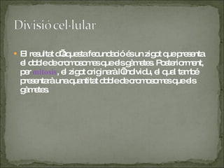 El resultat d’aquesta fecundació és un zigot que presenta el doble de cromosomes que els gàmetes. Posteriorment, per  mitosis , el zigot originarà l’individu, el qual també presentarà una quantitat doble de cromosomes que els gàmetes. 