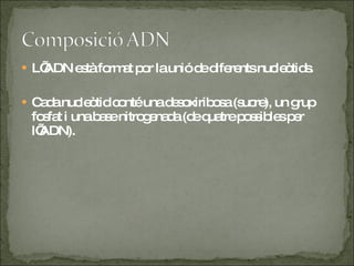 L’ADN està format por la unió de diferents nucleòtids.  Cada nucleòtid conté una desoxiribosa (sucre), un grup fosfat i una base nitrogenada (de quatre possibles per l’ADN). 