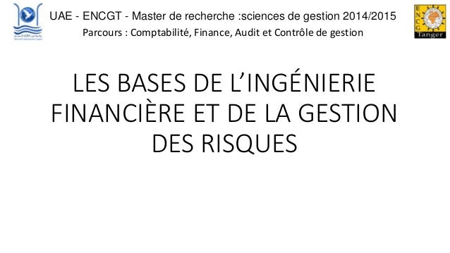 Les Bases De L Ingenierie Financiere Et De La Gestion Des Risques