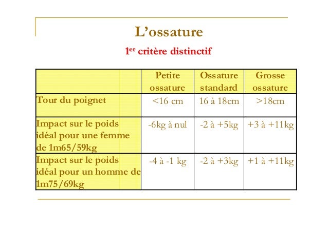 Nutrition Sportive II