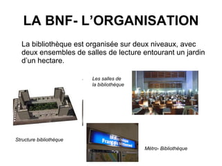 LA BNF- L’ORGANISATION La bibliothèque est organisée sur deux niveaux, avec deux ensembles de salles de lecture entourant un jardin d’un hectare.  Structure bibliothèque Métro- Bibliothèque Les salles de la bibliothèque 