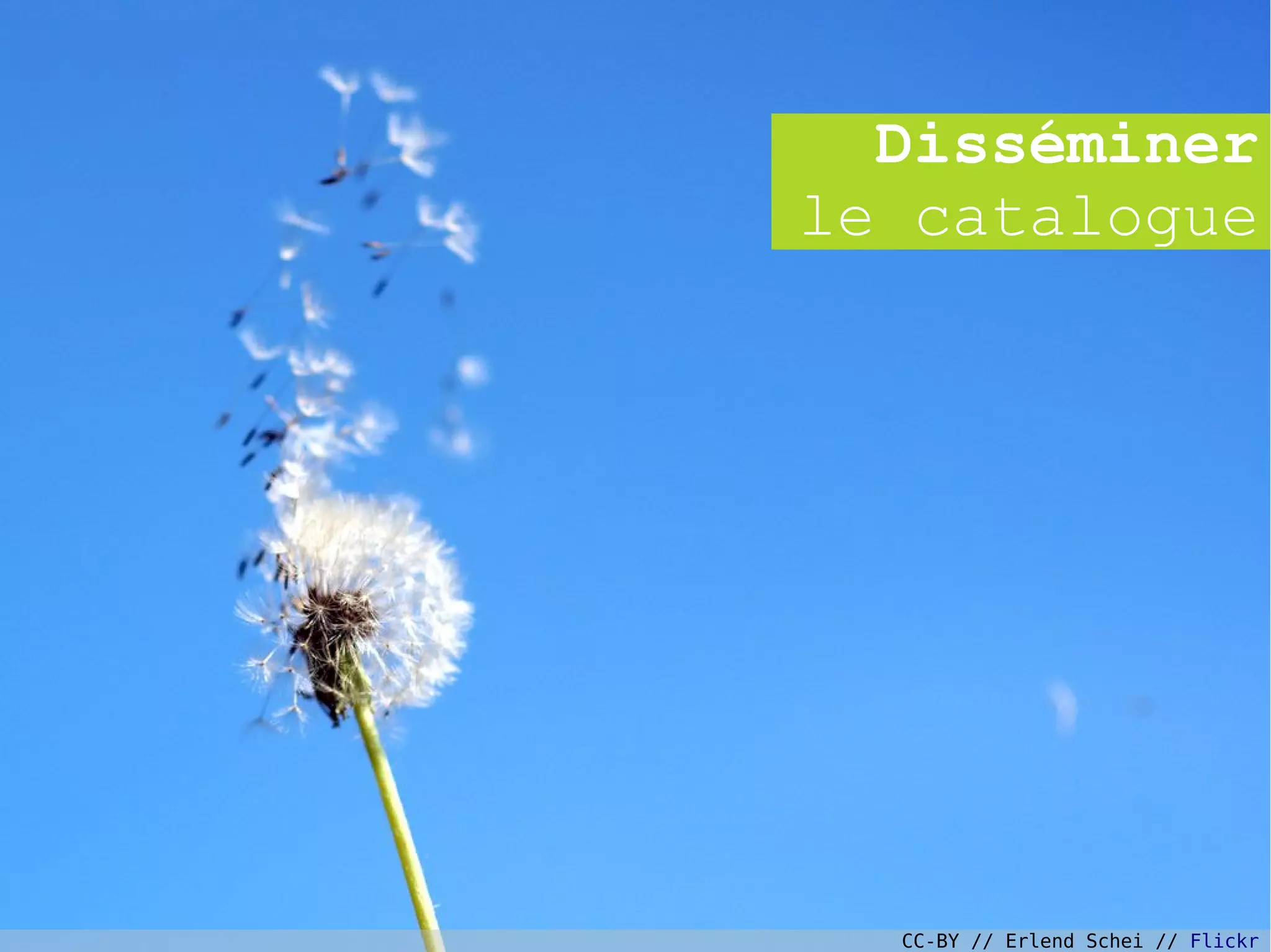 Disséminer
le catalogue
CC-BY // Erlend Schei // Flickr