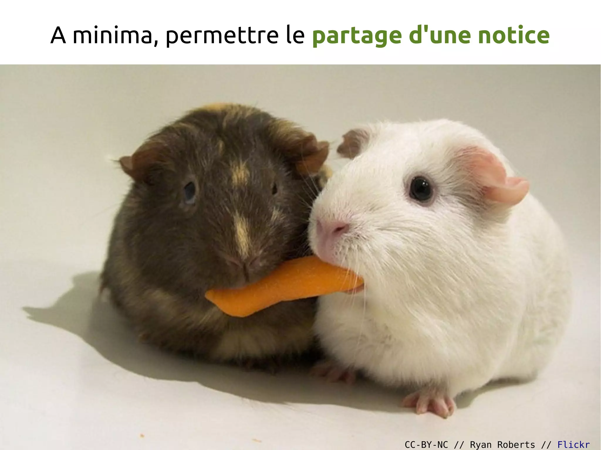 A minima, permettre le partage d'une notice
CC-BY-NC // Ryan Roberts // Flickr