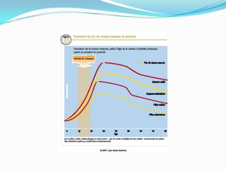 Les bienfaits de l’activité physique chap 2