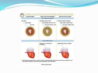 Les bienfaits de l’activité physique chap 2