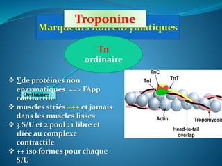 Marqueurs non enzymatiques
Troponine
Tn
Ordinaire US/HS
Tn
ordinaire
 ∑de protéines non
enzymatiques ==> l’App
contractile
 muscles striés +++ et jamais
dans les muscles lisses
 3 S/U et 2 pool : 1 libre et
1liée au complexe
contractile
 ++ iso formes pour chaque
S/U
 