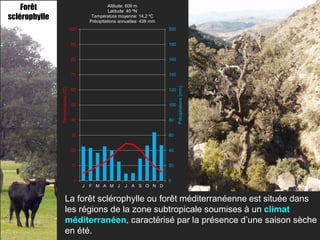 Forêt                                              Altitude: 609 m
                                                       Latitude: 40 ºN
sclérophylle                                  Température moyenne: 14,2 ºC
                                             Précipitations annuelles: 438 mm
                                   100                                          200


                                    90                                          180


                                    80                                          160


                                    70                                          140




                                                                                      Précipitations (mm)
               Températures (ºC)




                                    60                                          120


                                    50                                          100


                                    40                                          80


                                    30                                          60


                                    20                                          40


                                    10                                          20


                                     0                                          0
                                         J   F M A M J        J   A S O N D


                      La forêt sclérophylle ou forêt méditerranéenne est située dans
                      les régions de la zone subtropicale soumises à un climat
                      méditerranéen, caractérisé par la présence d’une saison sèche
                      en été.
 