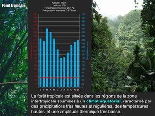 Altitude: 125 m
Forêt tropicale                                             Latitude: 3 ºS
                                                 Température moyenne: 26,1 ºC
                                                Précipitations annuelles: 2 879 mm
                                      200                                            400
                                      190                                            380
                                      180                                            360
                                      170                                            340
                                      160                                            320
                                      150                                            300
                                      140                                            280
                                      130                                            260




                                                                                           Précipitations (mm)
                  Températures (ºC)




                                      120                                            240
                                      110                                            220
                                      100                                            200
                                       90                                            180
                                       80                                            160
                                       70                                            140
                                       60                                            120
                                       50                                            100
                                       40                                            80
                                       30                                            60
                                       20                                            40
                                       10                                            20
                                        0                                            0
                                            J   F M A M J         J   A S O N D


                         La forêt tropicale est située dans les régions de la zone
                         intertropicale soumises à un climat équatorial, caractérisé par
                         des précipitations très hautes et régulières, des températures
                         hautes et une amplitude thermique très basse.
 