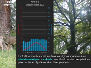 Forêt                                             Altitude: 66 m
                                                   Latitude: 48 ºN
tempérée                                  Température moyenne: 10,5 ºC
                                         Précipitations annuelles: 607 mm
                               100                                          200


                                90                                          180


                                80                                          160


                                70                                          140




                                                                                  Précipitations (mm)
           Températures (ºC)




                                60                                          120


                                50                                          100


                                40                                          80


                                30                                          60


                                20                                          40


                                10                                          20


                                 0                                          0
                                     J   F M A M J        J   A S O N D


                La forêt tempérée est située dans les régions soumises à un
                climat océanique ou chinois caractérisé par des précipitations
                plus hautes et régulières et un hiver plus froid.
 