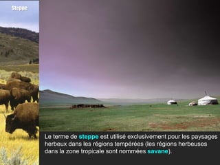 Steppe




         Le terme de steppe est utilisé exclusivement pour les paysages
         herbeux dans les régions tempérées (les régions herbeuses
         dans la zone tropicale sont nommées savane).
 